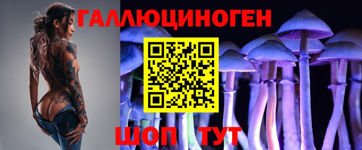 Мценск  Псилоцибиновые грибы прущие грибы  Вход с VPN 